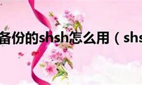 shsh是什么_shsh是什么意思