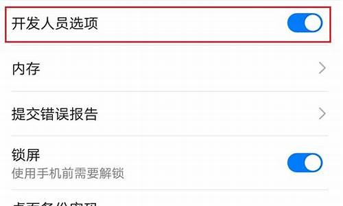 华为手机开发者选项怎么设置最好?_华为手机开发者选项打开方法怎么设置
